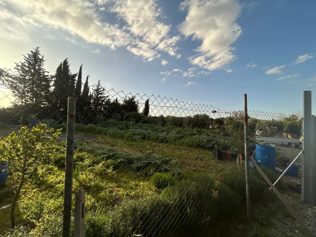 Finca agrícola cerca El Cuervo