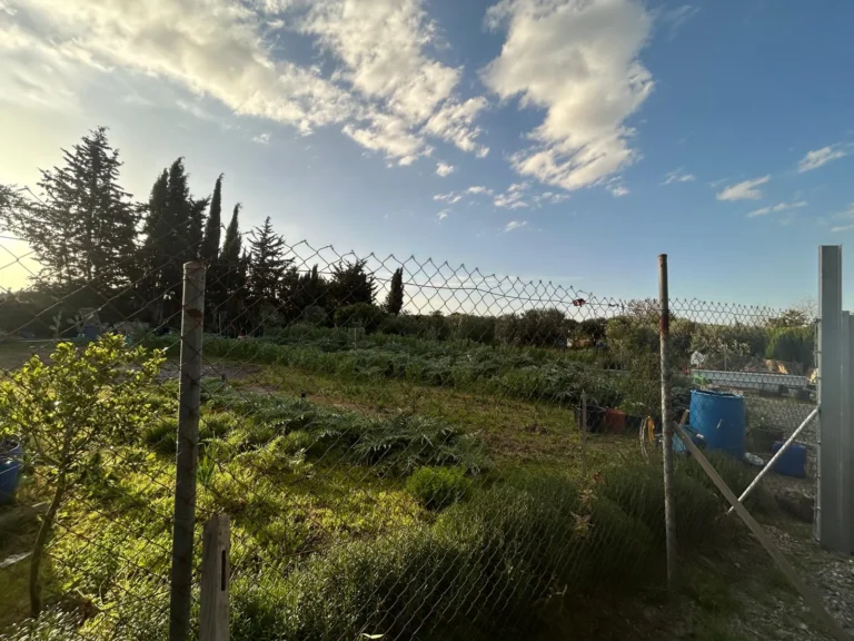 Finca agrícola cerca El Cuervo