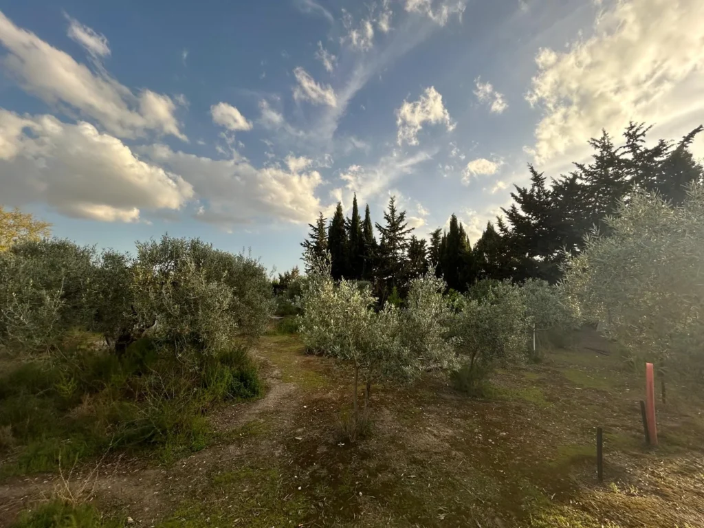 Finca agrícola cerca El Cuervo