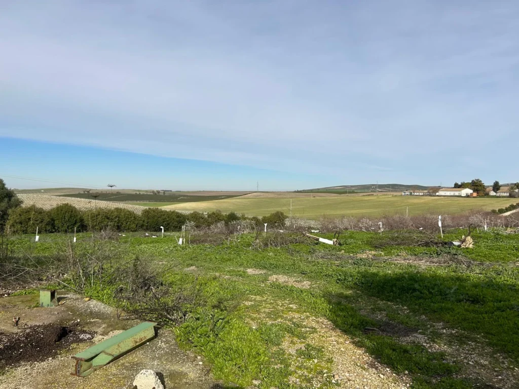 Finca Olivar con nave de 2000 m2 en Venta-Jerez de la Frontera