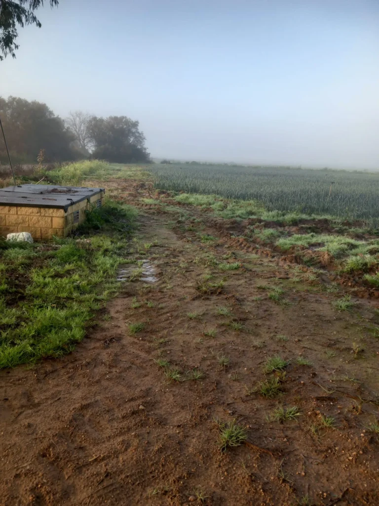 Finca Regadío en venta-Jerez de la Frontera
