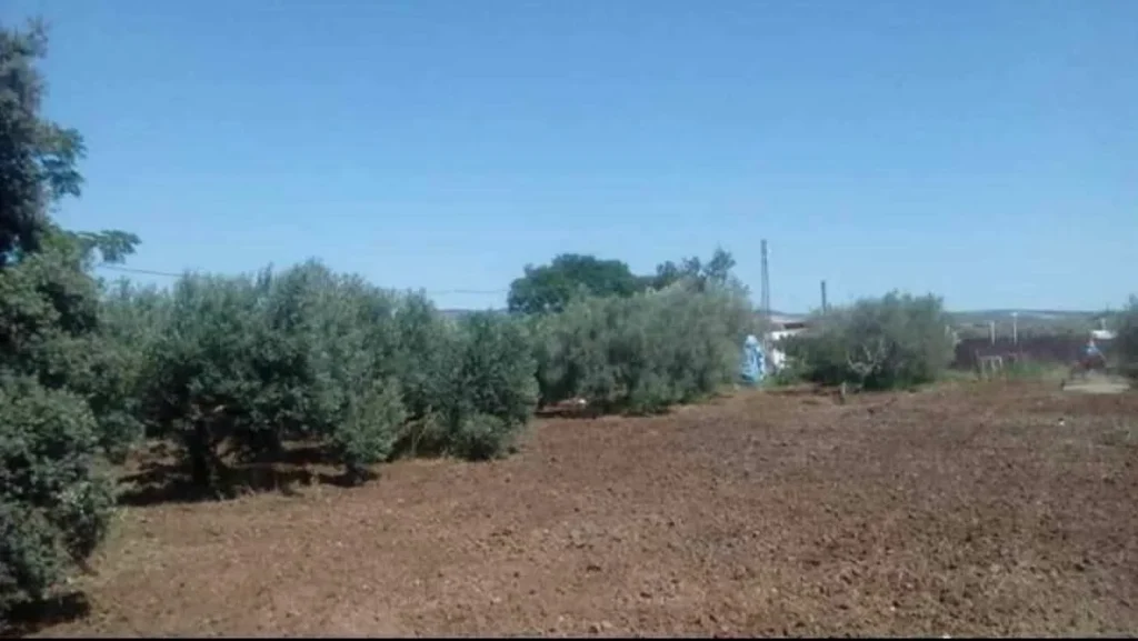 Finca agricola camino de los contenedores-El Cuervo