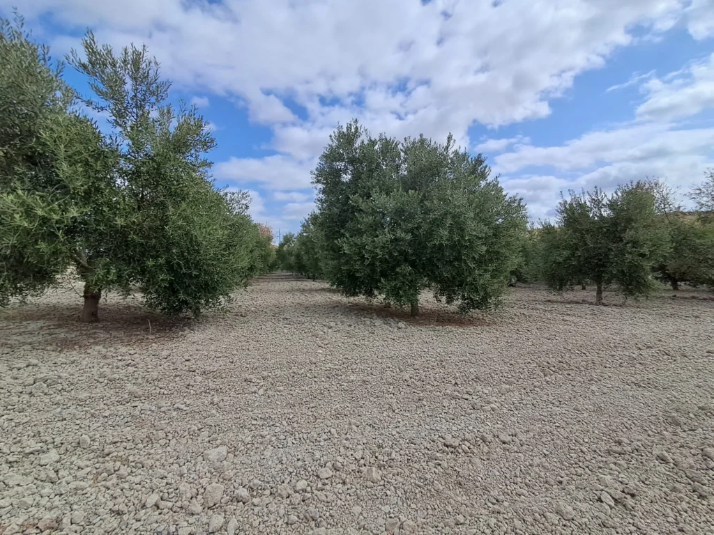 Finca agricola en venta-El Cuervo de Sevilla