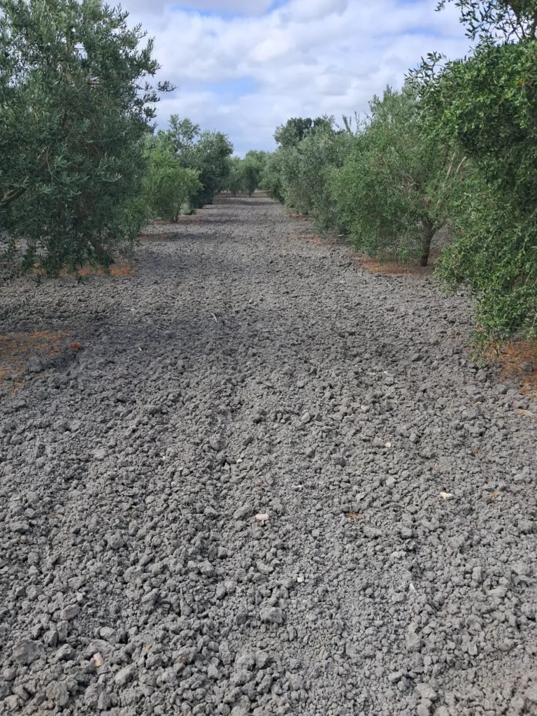 Finca agricola en venta-El Cuervo de Sevilla