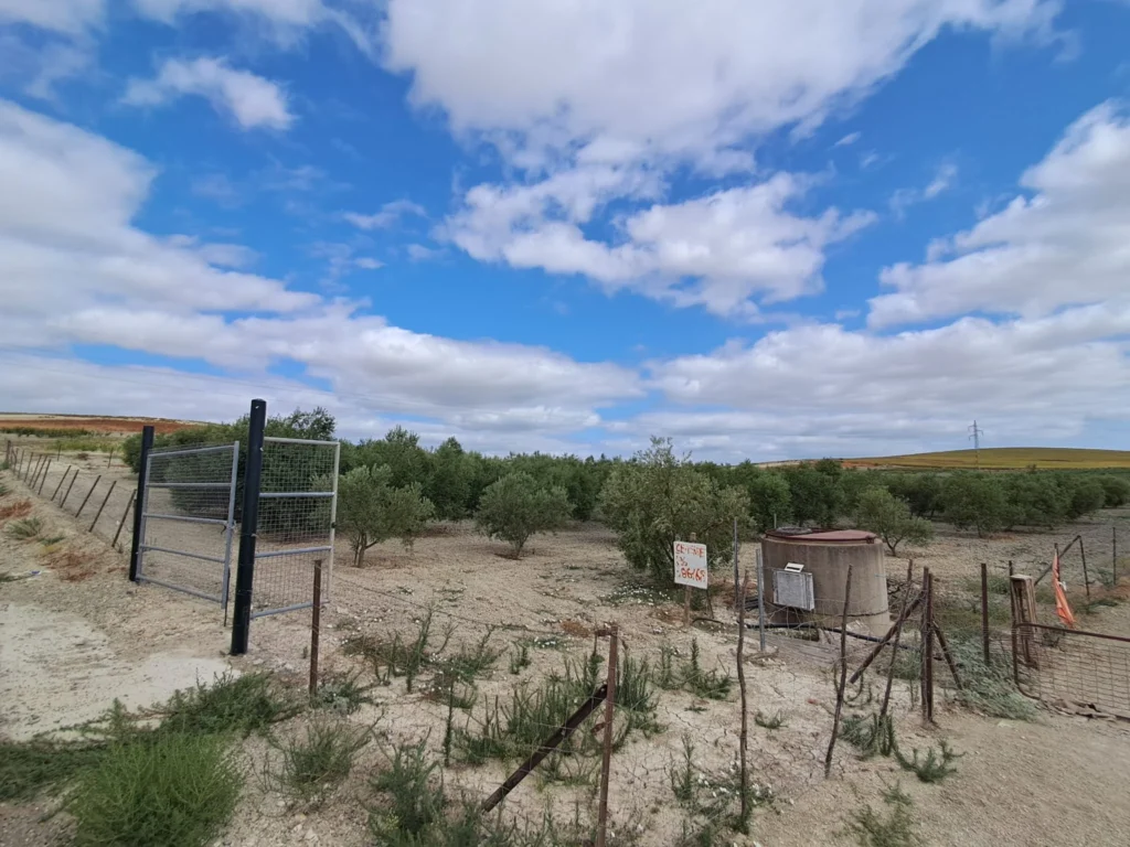 Finca agricola en venta-El Cuervo de Sevilla