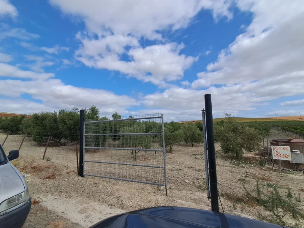 Finca agricola en venta-El Cuervo de Sevilla