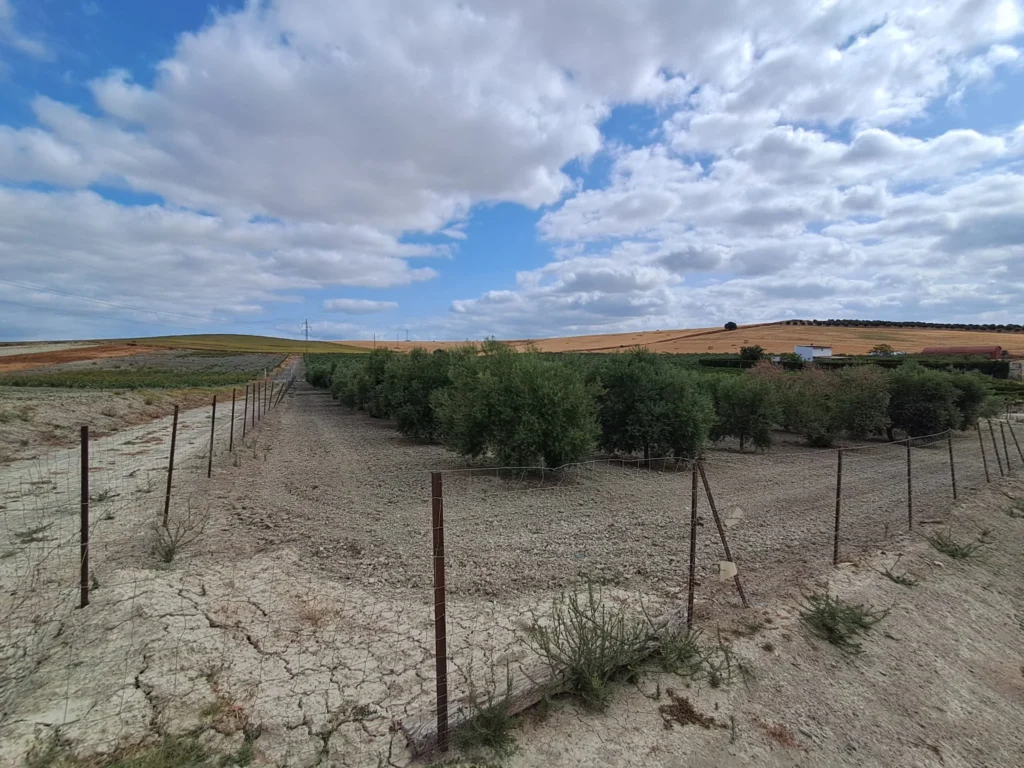 Finca agricola en venta-El Cuervo de Sevilla