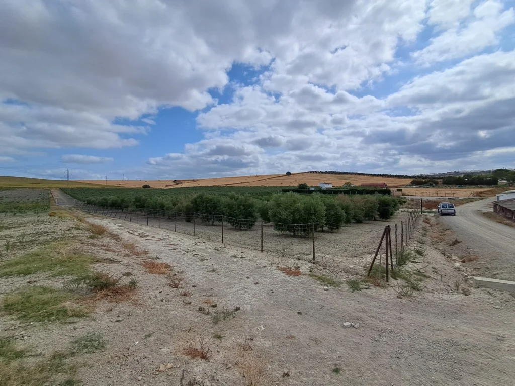 Finca agricola en venta-El Cuervo de Sevilla